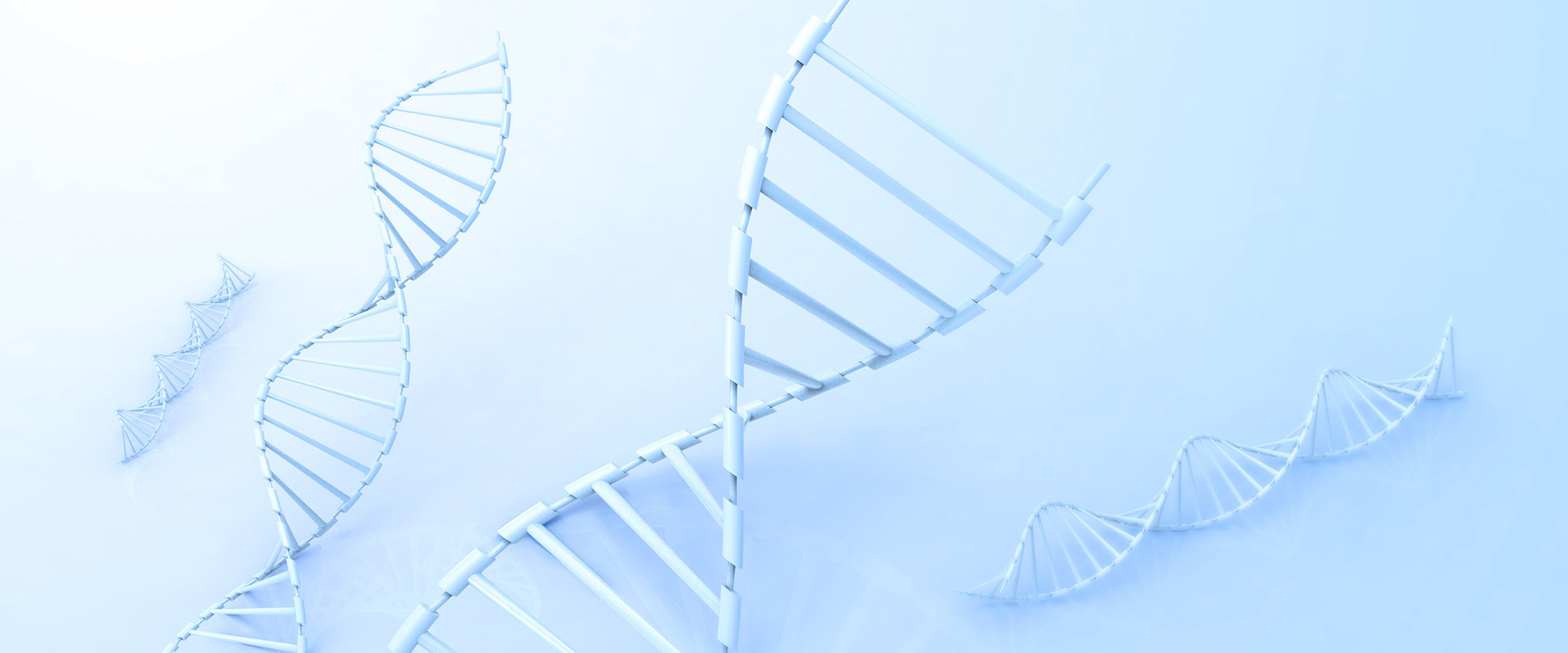 为顾客提供卓越产品