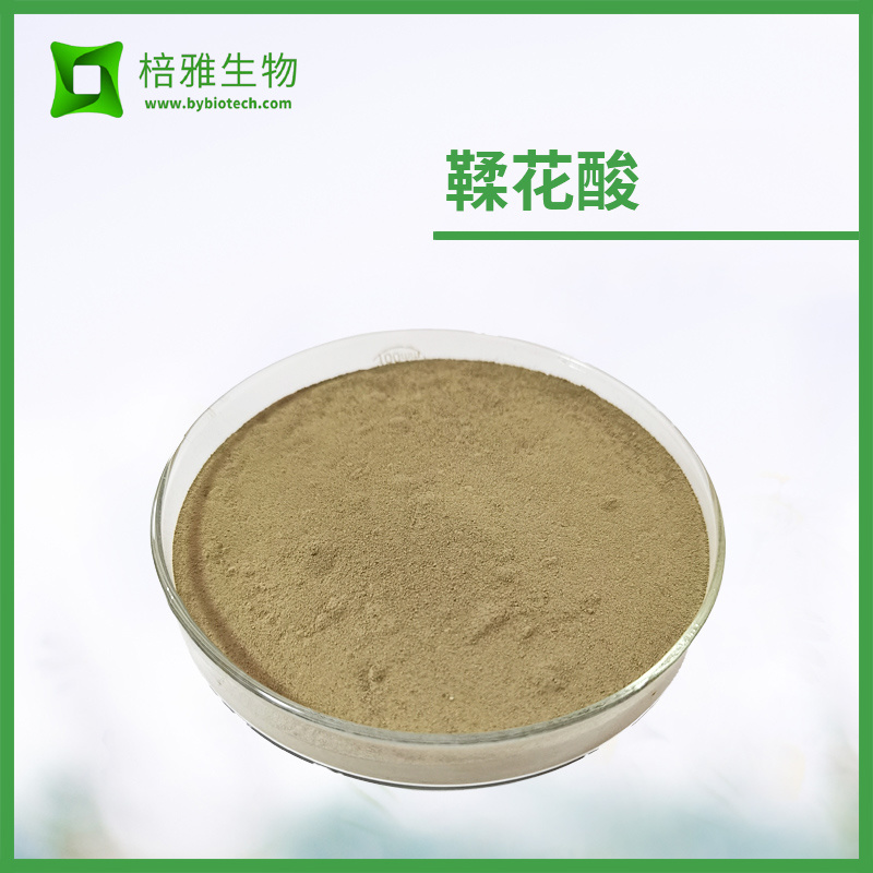 五倍子鞣花酸 40%